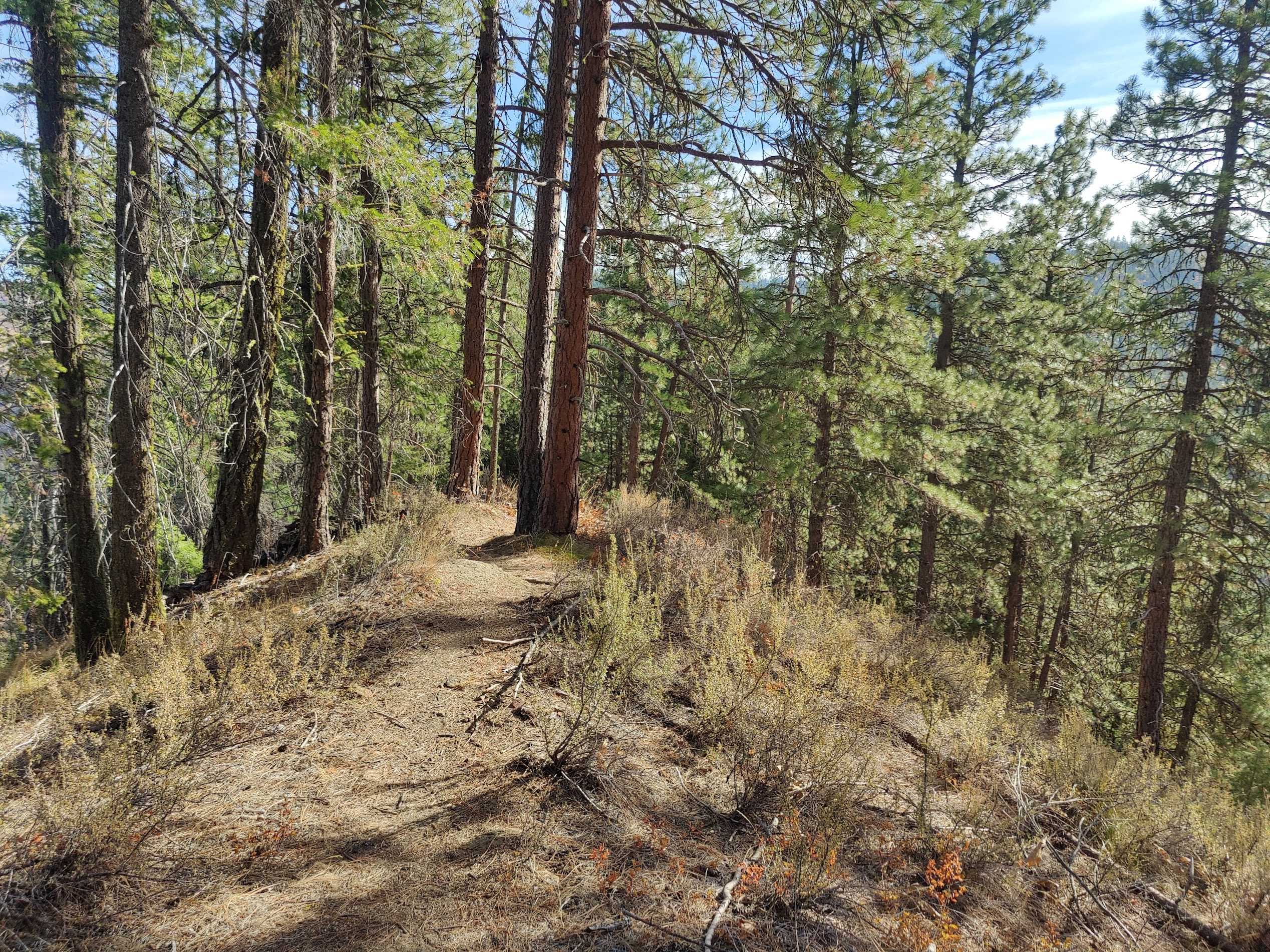 A view of a trail along the ridgeline.