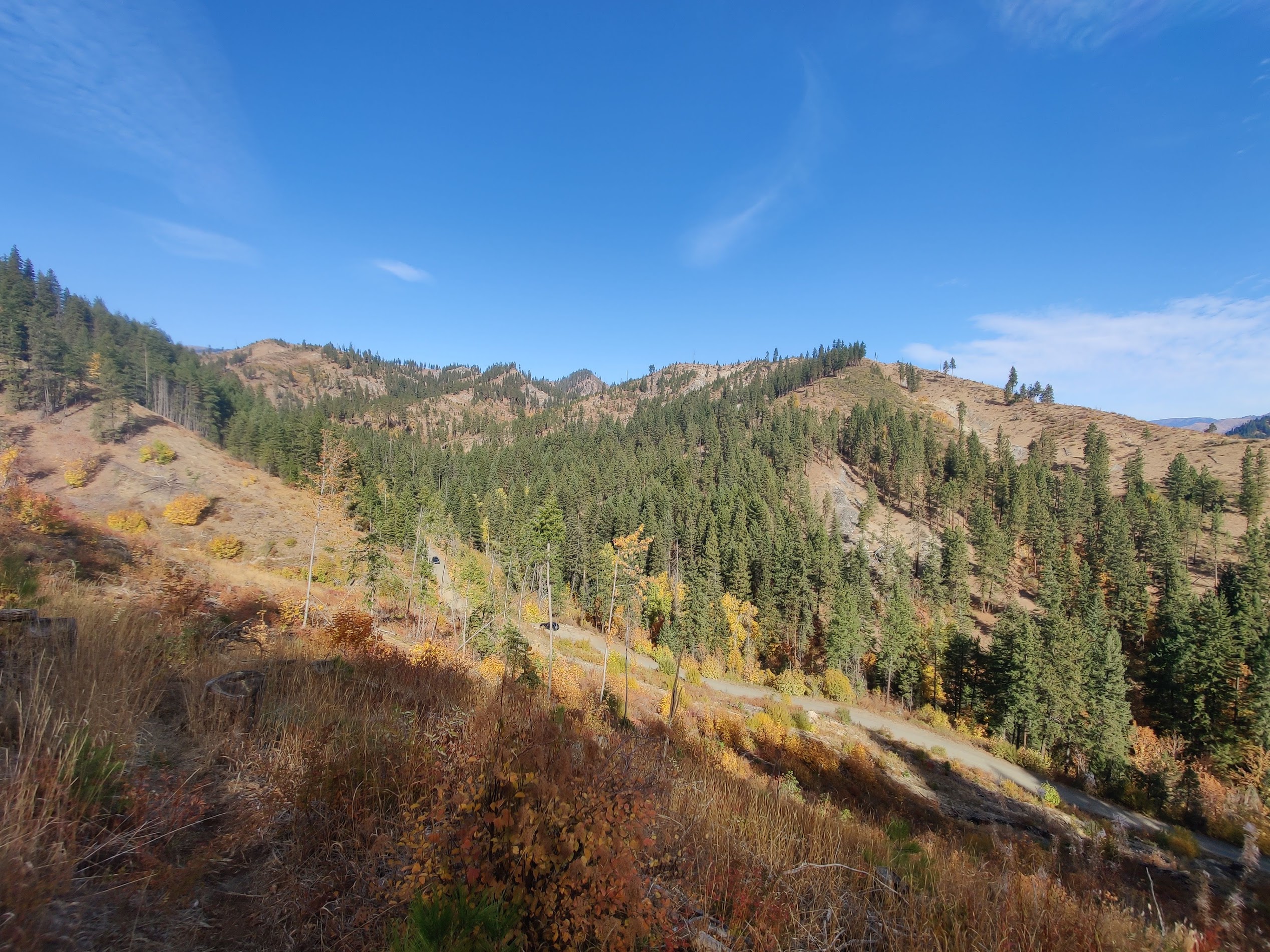 A view of the forest service road from the trail.