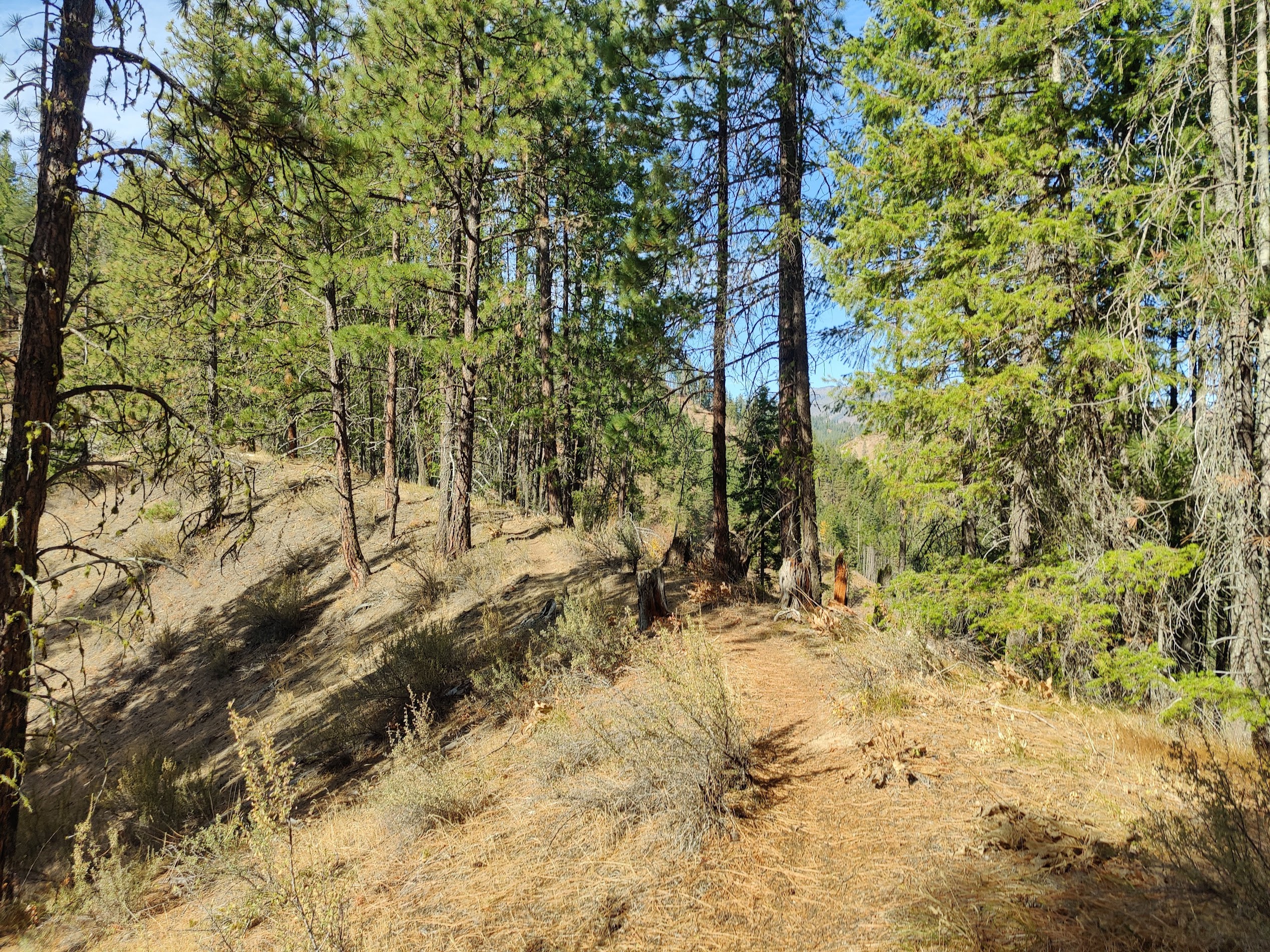 A view of a trail along the ridgeline.