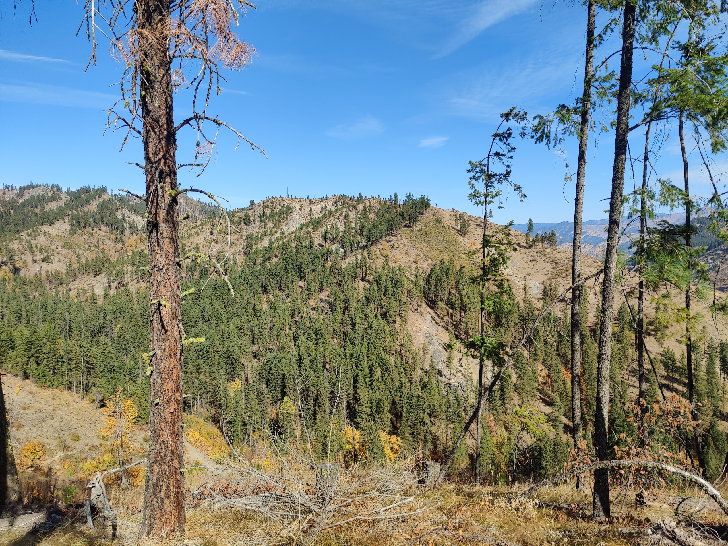 A view north along the ridgeline.